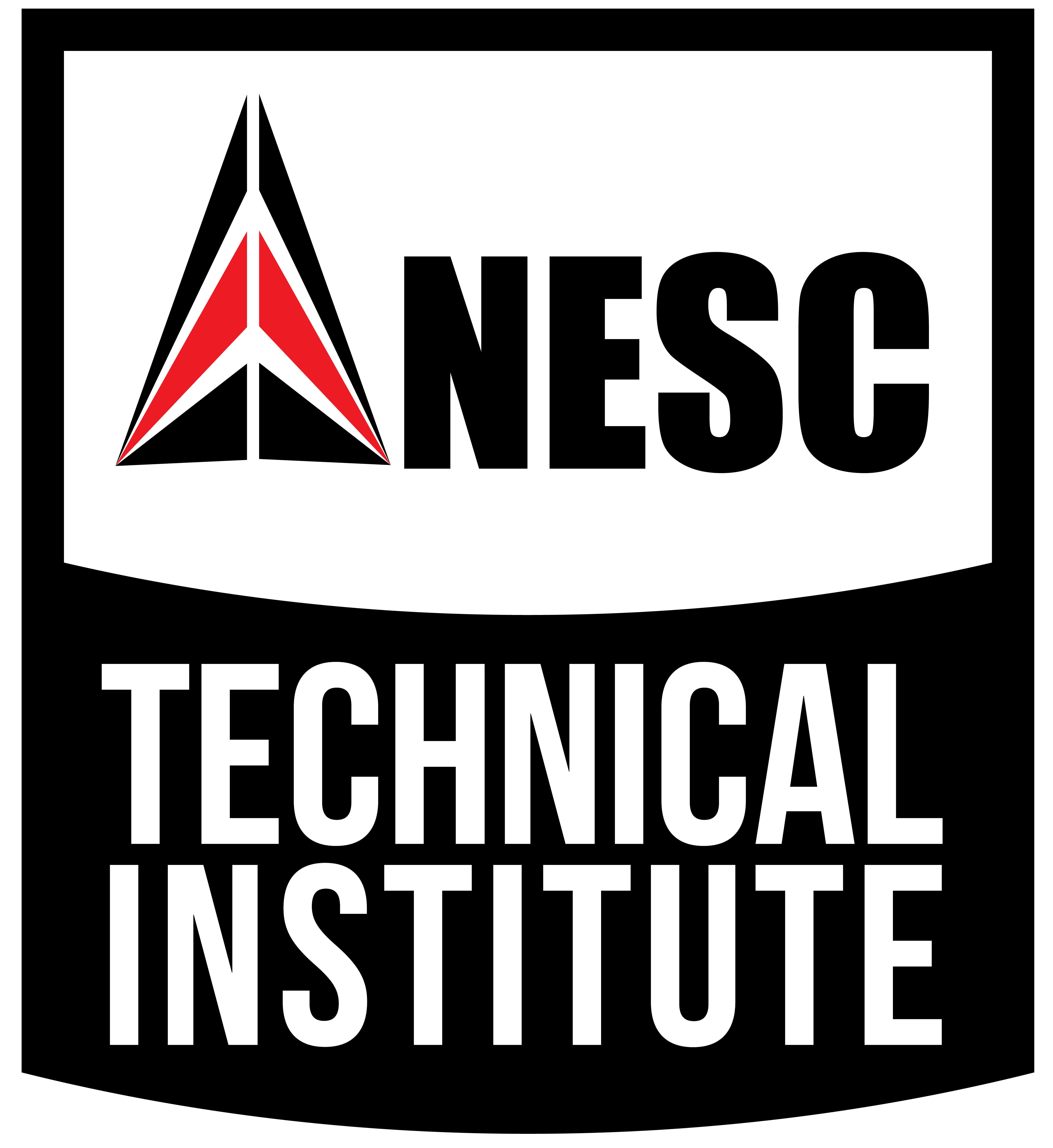 NESC Technical Institute